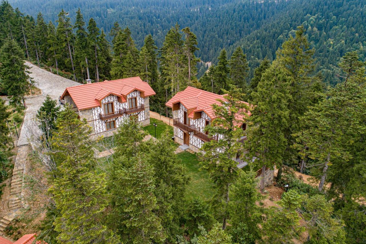 Foleya Mountain Resort Hotel & Villas Τραμπζόν Εξωτερικό φωτογραφία