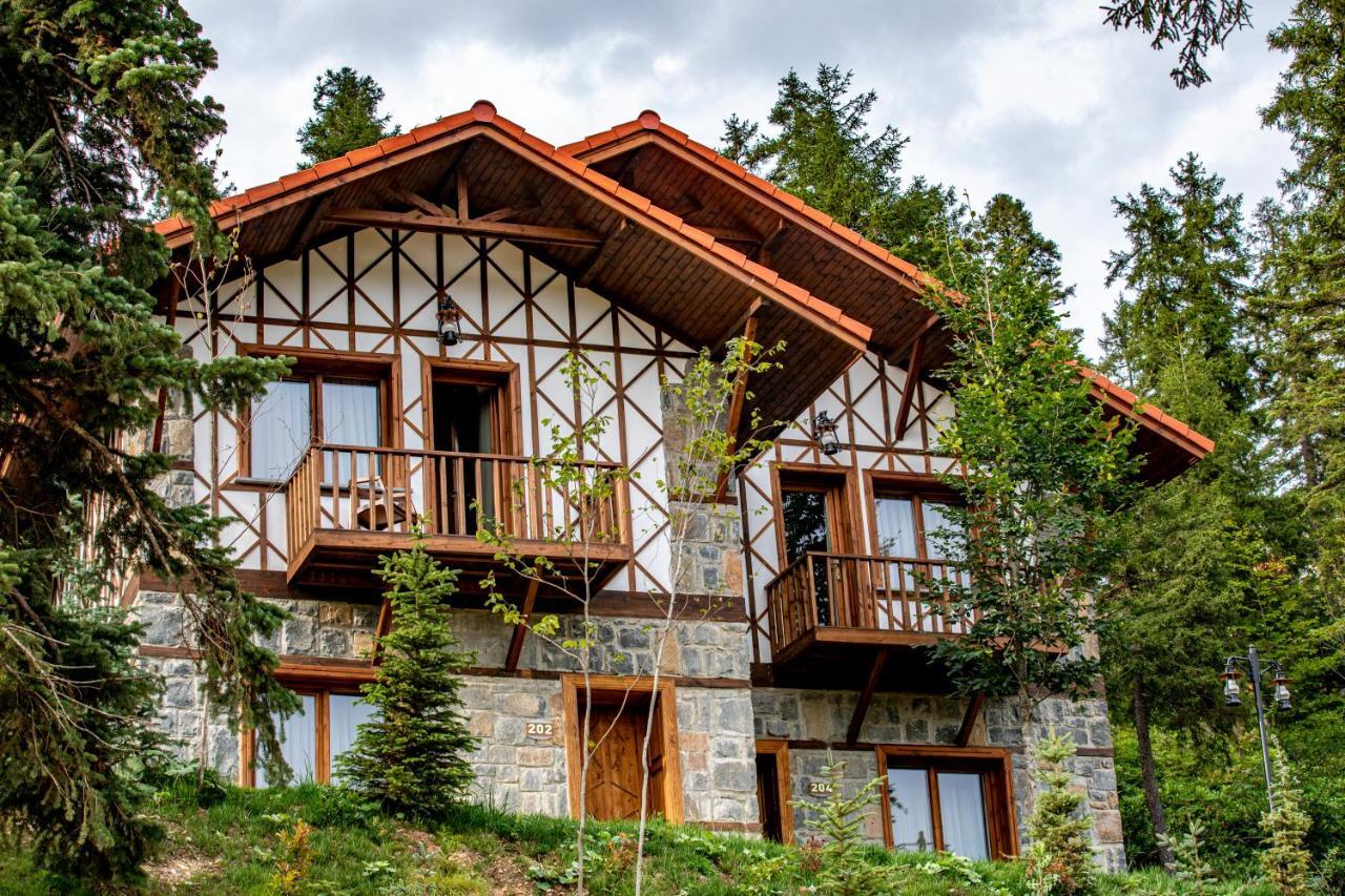Foleya Mountain Resort Hotel & Villas Τραμπζόν Εξωτερικό φωτογραφία