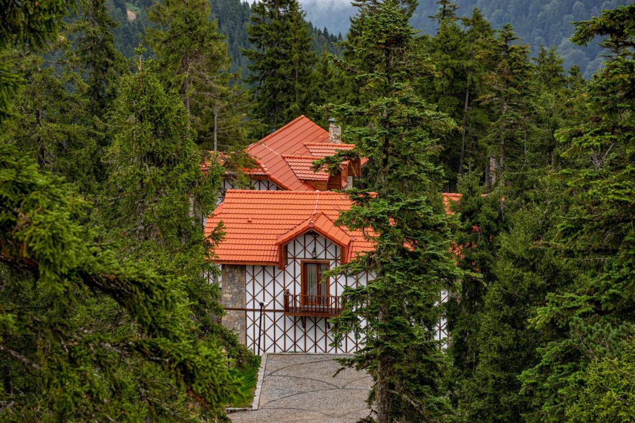 Foleya Mountain Resort Hotel & Villas Τραμπζόν Εξωτερικό φωτογραφία